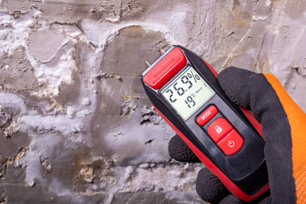 Best Commercial Mold Removal  in Oklahoma, PA
