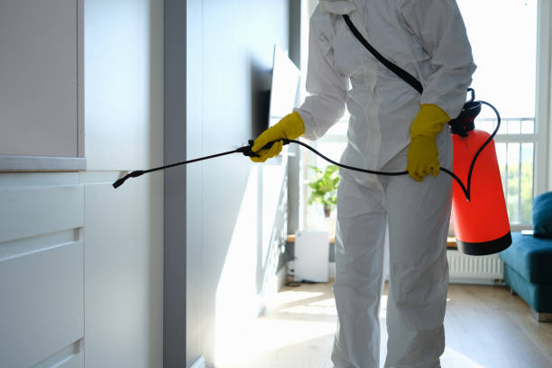 Best Black Mold Removal  in Oklahoma, PA