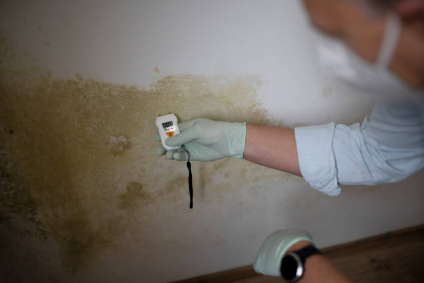 Best Crawl Space Mold Removal  in Oklahoma, PA