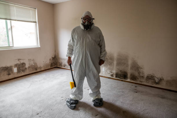 Best Residential Mold Removal  in Oklahoma, PA